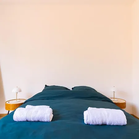 Moderne Et Elegant Michel Torrent 公寓 佩皮尼昂